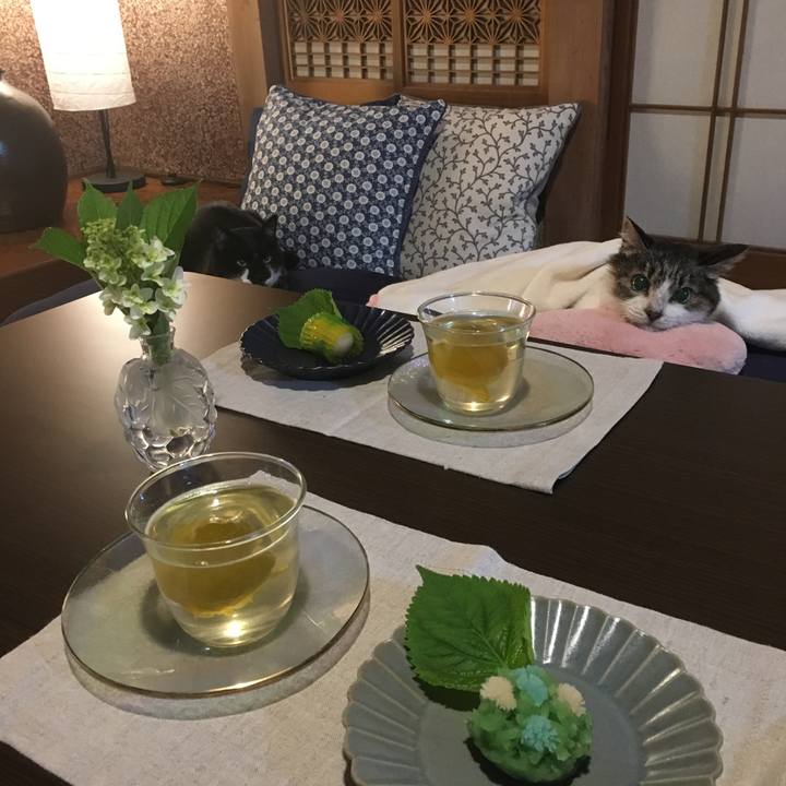 E232d8da 59cb 42d0 81bf 444857bdd629 1529215243792