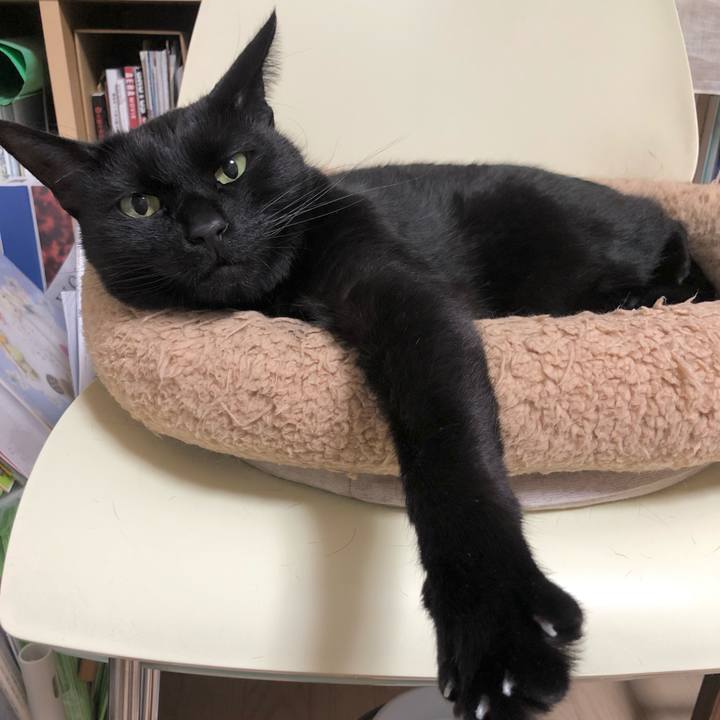 E232e5bf 1bf9 47fe 98f0 b0f9348fe56d 1612443891629