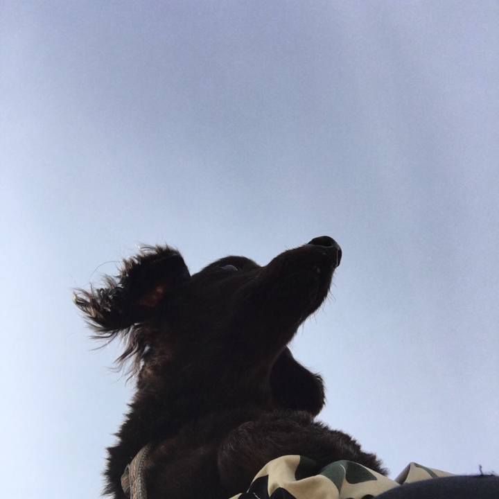 E232ff16 ef94 43e0 9ab2 e7203d13aba5 1550460290620