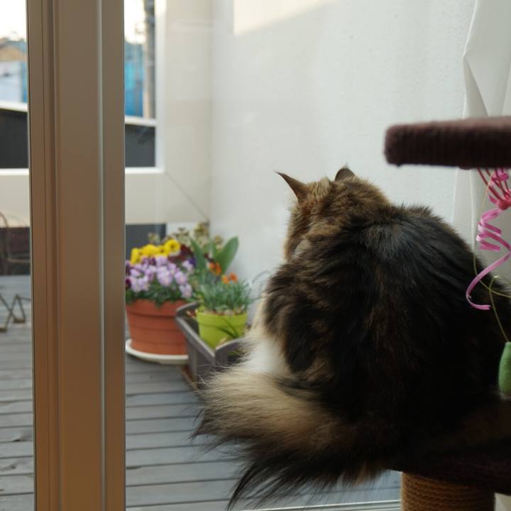 E23306a8 1fdb 4e8c 9bf1 786558e4ece3 1551775893686