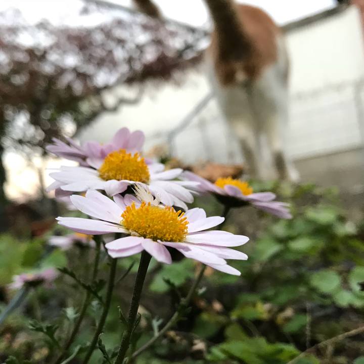 E2331d99 c7ef 40fd 9e3b 62167b83d544 1509092321577