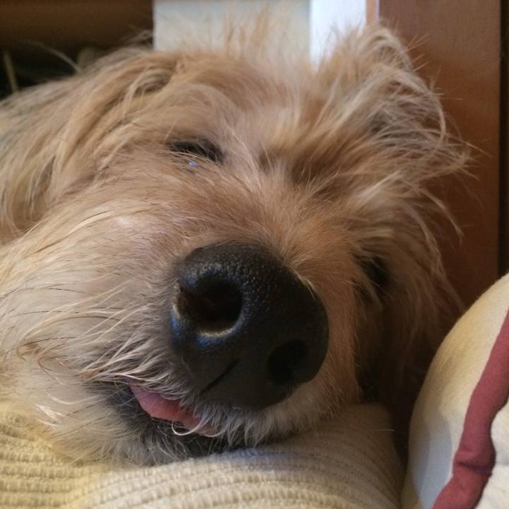 E23337fc 98c5 486e 82e2 fdad82cea5ae 1539519598933