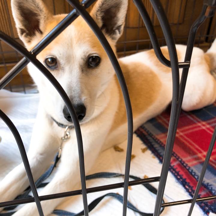 E23395fd eeb3 43f6 a3fc 2c1fecf33a34 1589412939931