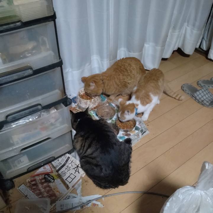 E233ea6a cf8c 4cca b71f 52e99deaf465 1733352700884