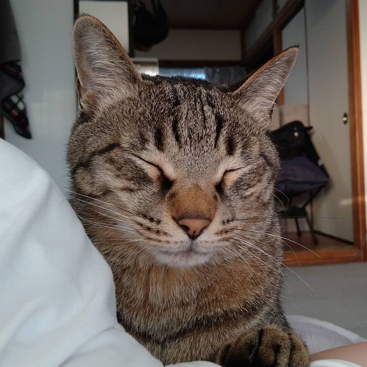 E2344892 4ac2 4952 989c d5632519ce45 1684573607605