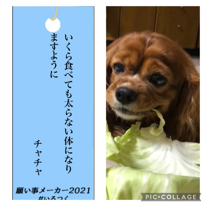 E2346853 c80e 4c16 9c41 68e8026c118a 1625609974169