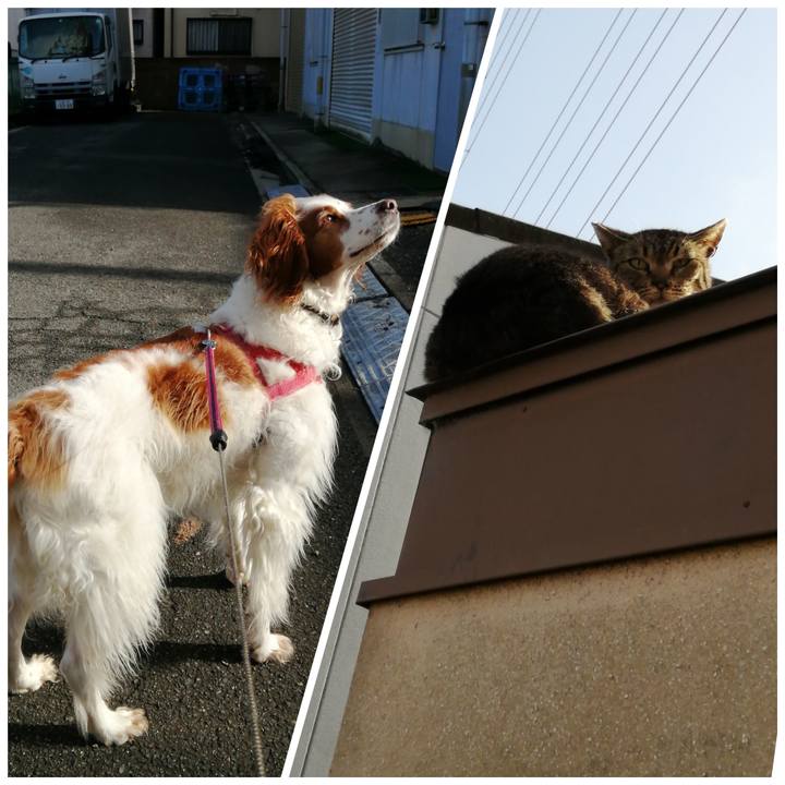 E2347a99 269b 43ab 9830 c6c8fac17fec 1620264330893