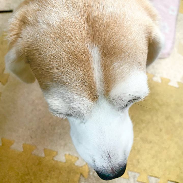 E2348f19 2b51 4d25 b02e cd9efabbcef4 1621223651520