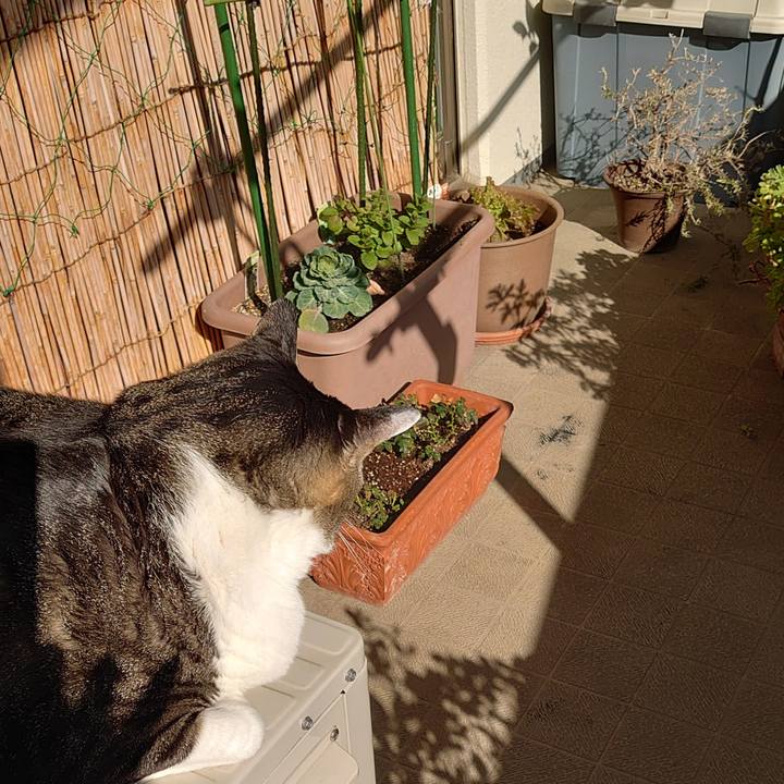 E234aac5 6454 4839 aef5 245650fc43d6 1612659255203