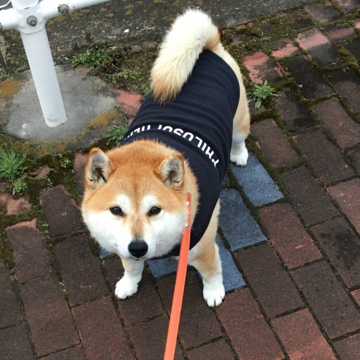 E234c1d3 01d0 47af b070 1d3582aa0028 1580111689974