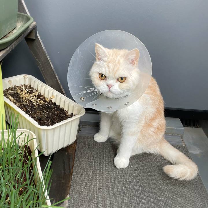 E234ccaf 6f45 4674 b832 287eb0df55fa 1758589159074