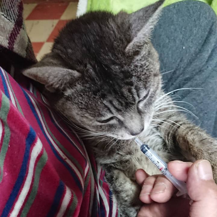 E23545f9 3e0e 4f23 8350 d99ed73c785d 1583626934915