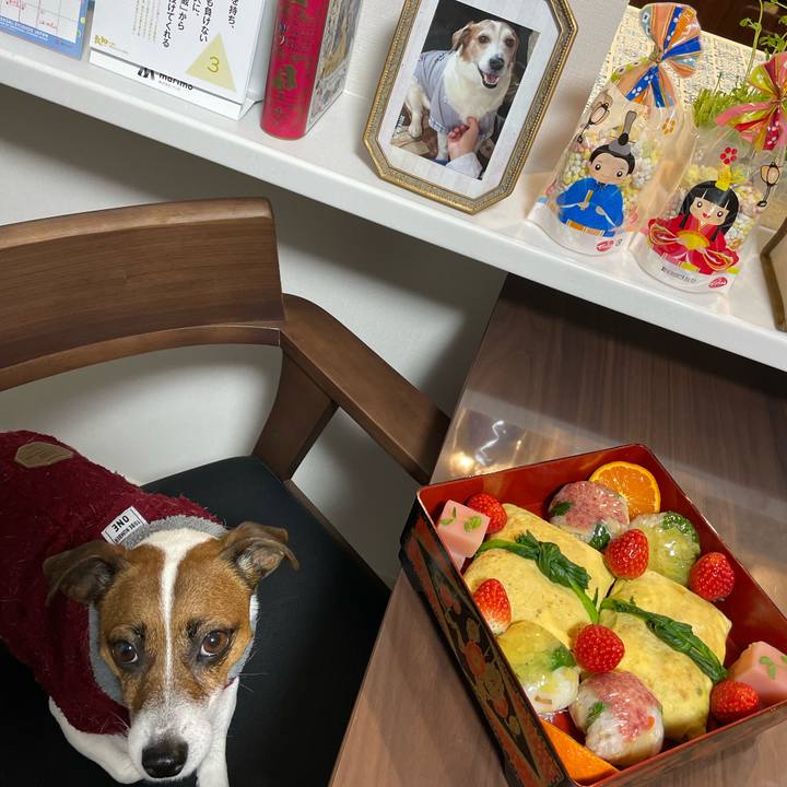 E2356b18 4f77 4e85 baa6 8e256525999a 1677838994871