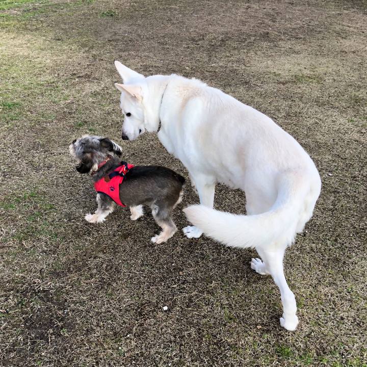 E23570e4 7742 4a23 9da8 f3dabbd0ff34 1552814336671