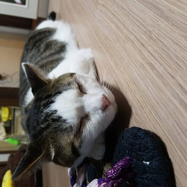 E2357114 2728 4ca3 8f52 b5b661cdefb6 1587500694952