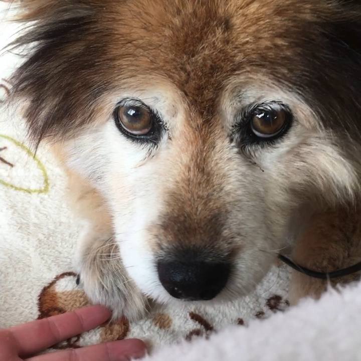 E2359902 27ad 44ec 9f7e df201b99b8ab 1614744248254