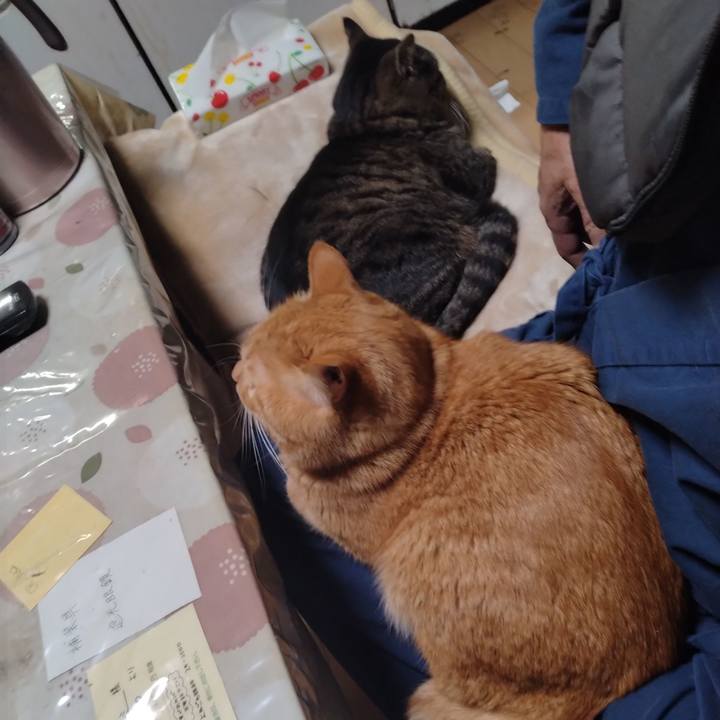 E235a933 d229 4d90 b5eb c6ab804ade46 1706702175849