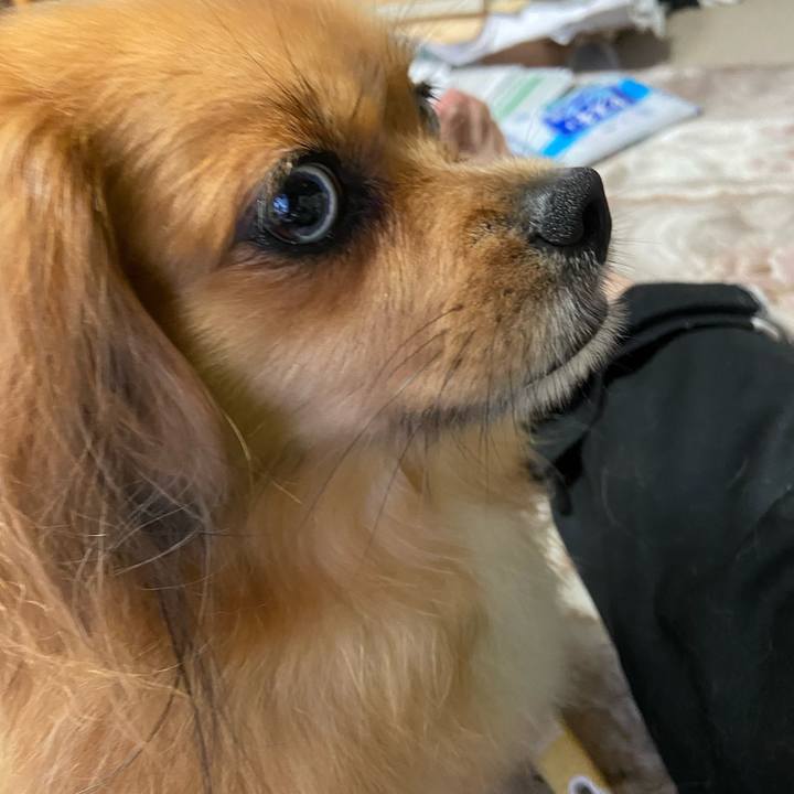 E235ae4c 0868 438a 88af 4a4a687a4972 1595798939996