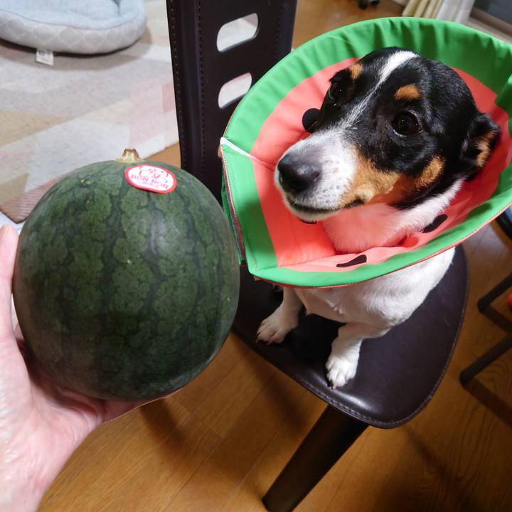 E235c69c d2c3 45fb b9a9 7f12fe2f7048 1721127150501