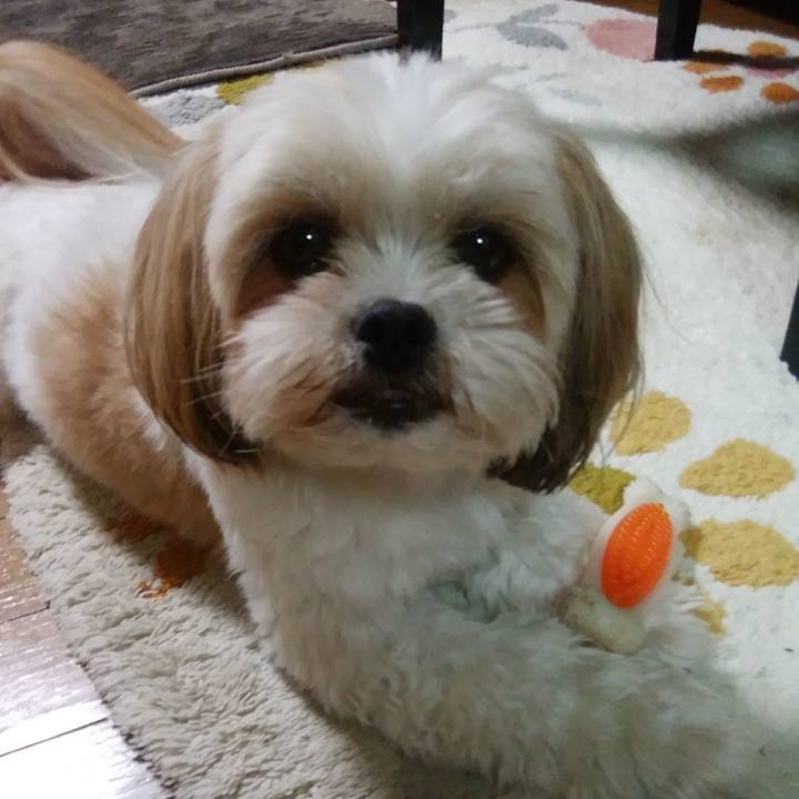 E235ddb4 3ac7 4af6 9678 66da84738512 1559989467565