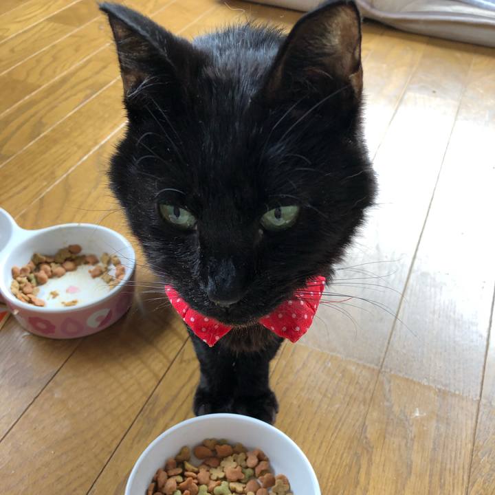 E235e92c 2dbd 4723 a720 199a7b2d4430 1560676697985