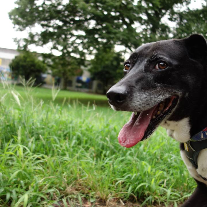 E235f318 84ed 42de b02b 60081c01aa49 1724889127588