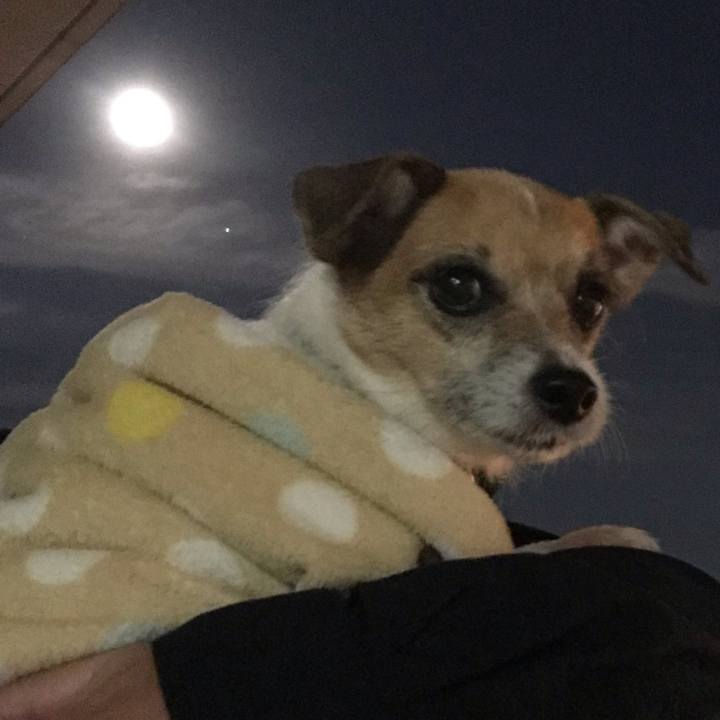 E23629b8 4001 4d32 b304 b19581b45e72 1542973779851