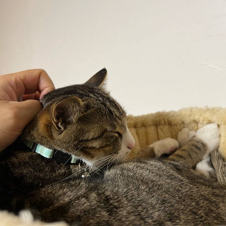 E2366386 d01b 4975 b084 26ddb52877de 1716383735070