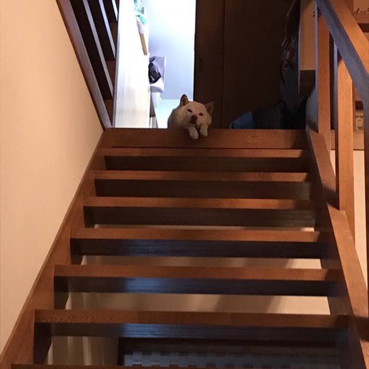 E2366788 f2aa 49ae b56d 11299fd11f41 1647315023294