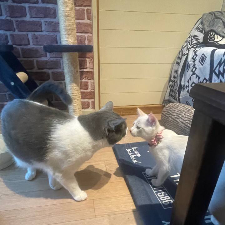 E236899d 0d00 4c97 b615 e393b238af72 1691662417371