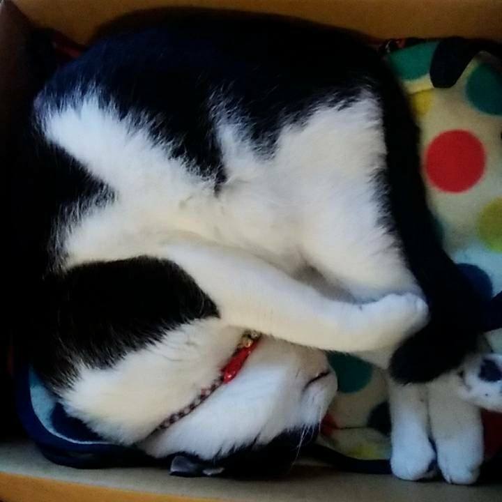 E23694ad 9478 424d 9b95 6b1aad0ac2f2 1537746530227