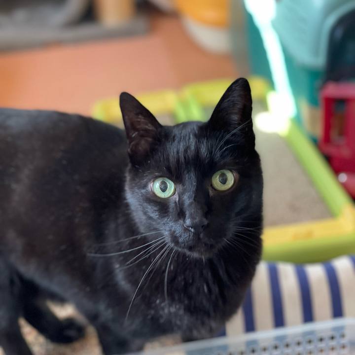 E236dde3 5b47 4957 af9e daf9832fbf49 1649900399821