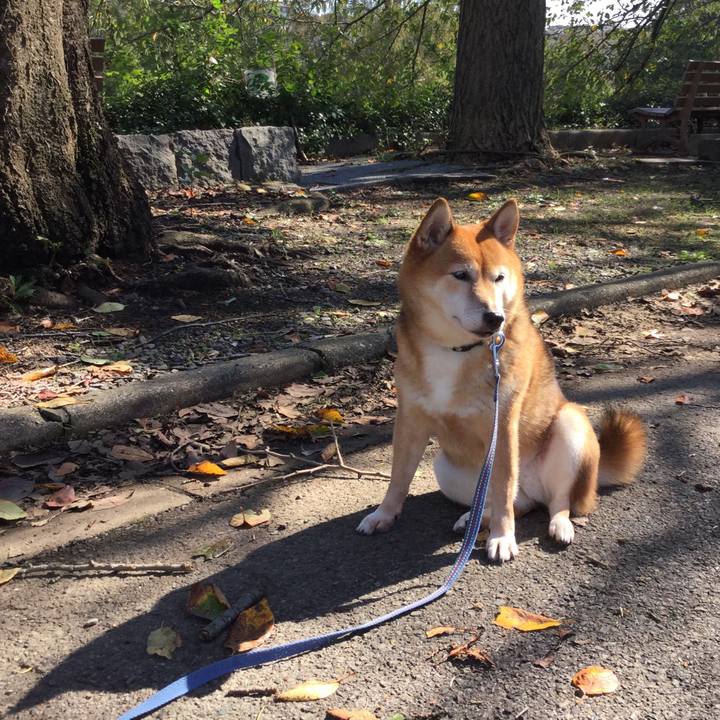 E236e0cf 5a67 4dda b83d af9589f5a1d1 1571820904489