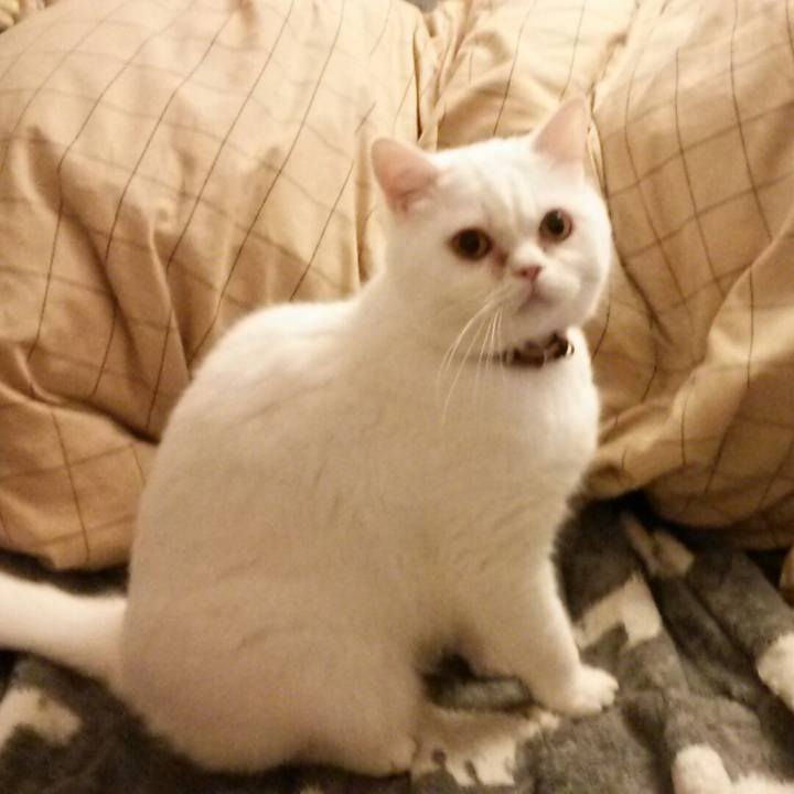 E2370cb3 4454 4978 ba49 bc7c50789861 1521799504332