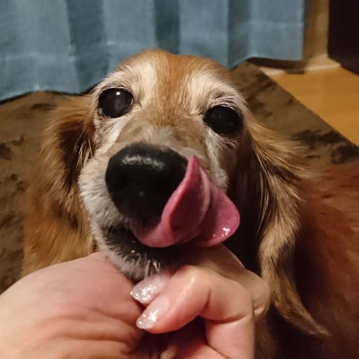 E23724ae 6a7d 4161 acfe 1205a8a3507e 1512896451431