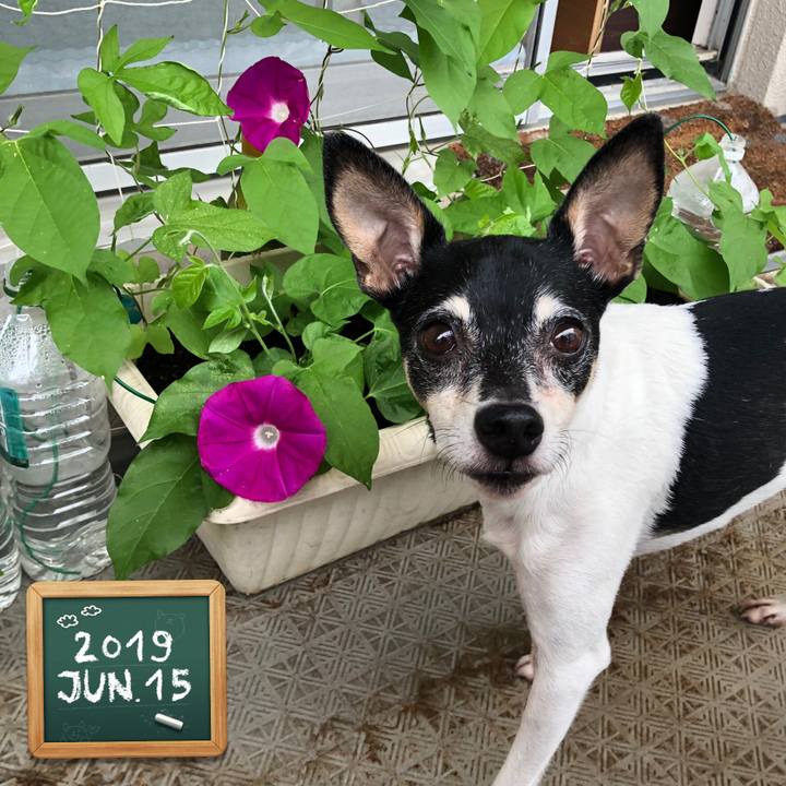 E2374c25 591e 47df aa15 d17b32b2f4aa 1560549390342