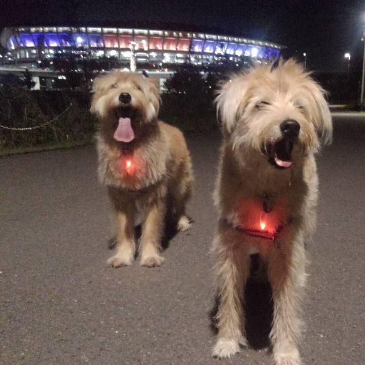 E23756b1 a61c 49e3 8a33 98479c940828 1536508242179