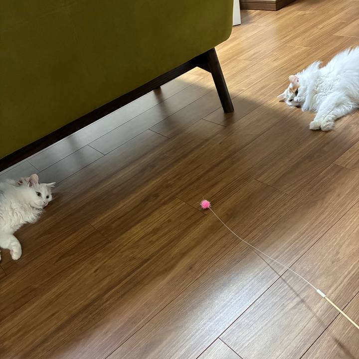 E2379286 38a2 4c0c bae9 0ee620039d3c 1774360805619