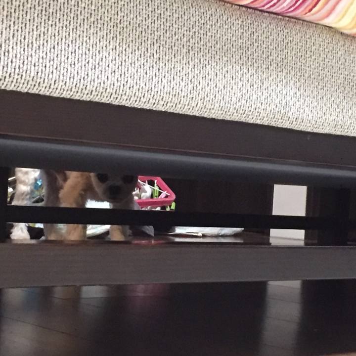 E237a085 5904 453b ae26 f85a5823fef0 1547383933703