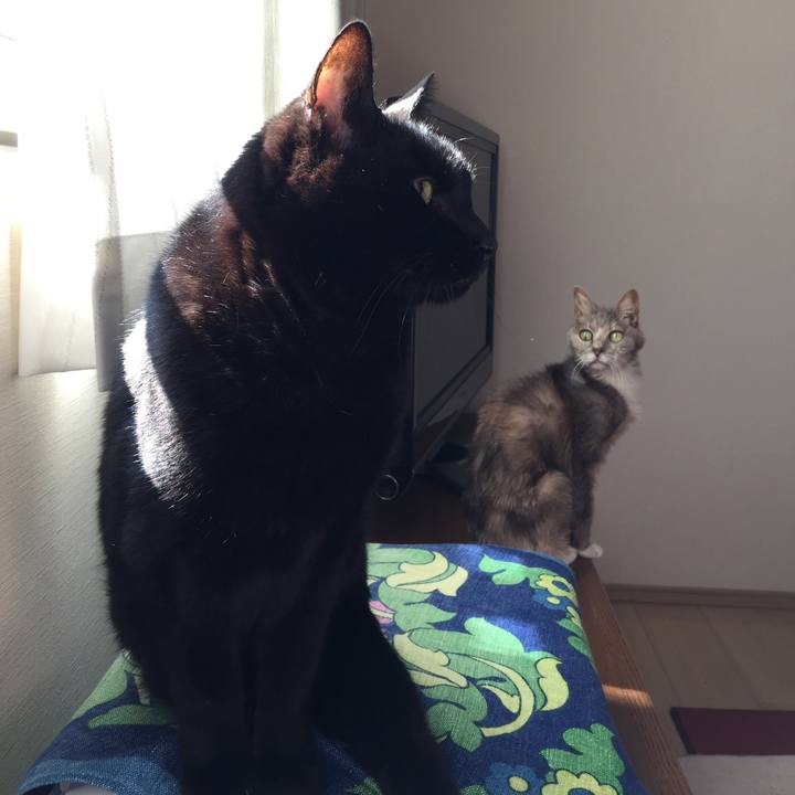 E237a177 4c1c 4c39 b523 023722ebf22a 1520136959438