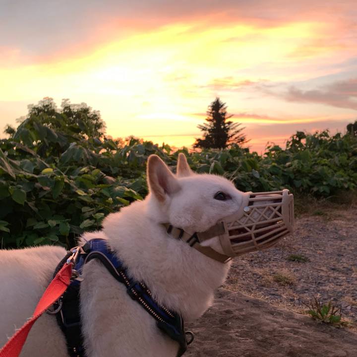 E237a3aa 24af 4c40 9f88 2e5c075fa0ee 1627934633055