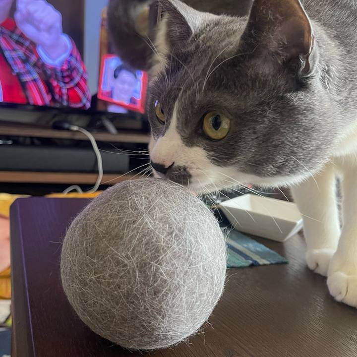 E237adb1 19f7 4ecb 9b7b 1ea20881ccc8 1745718496091