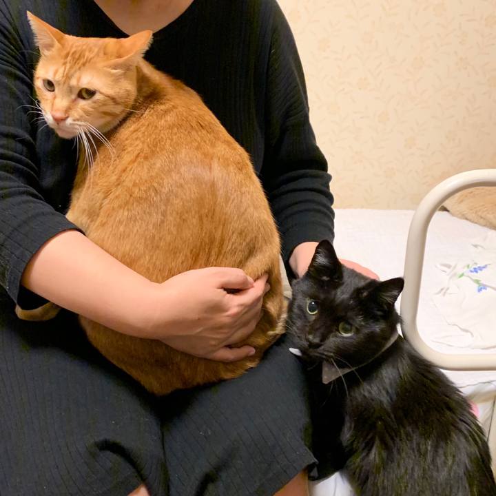 E237b029 f029 4f4e 91c9 71f857289320 1573387347607