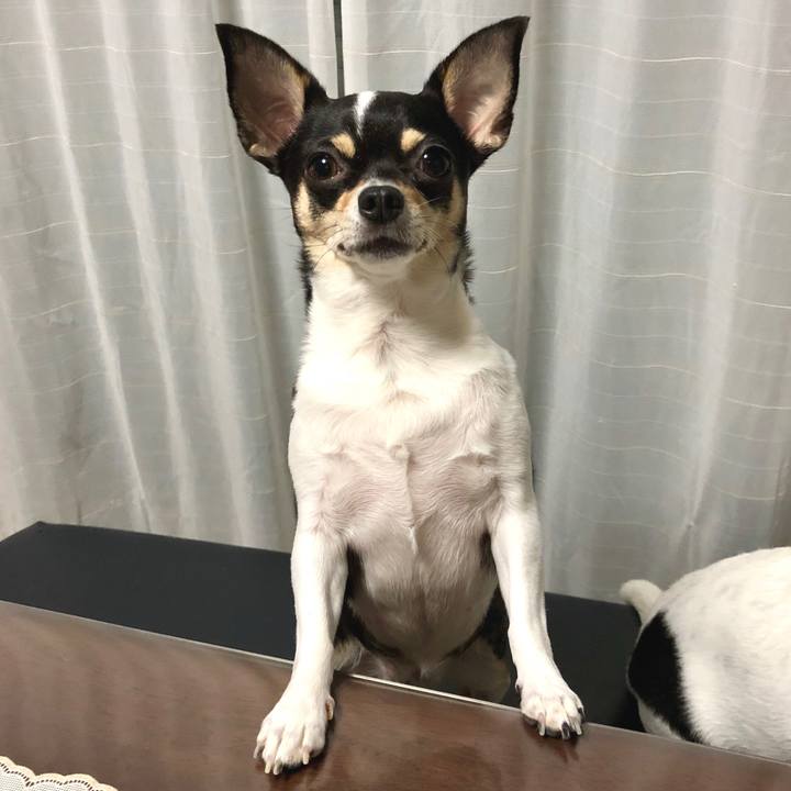 E237de75 50dc 49e8 adb1 20f0d7446def 1536888079075