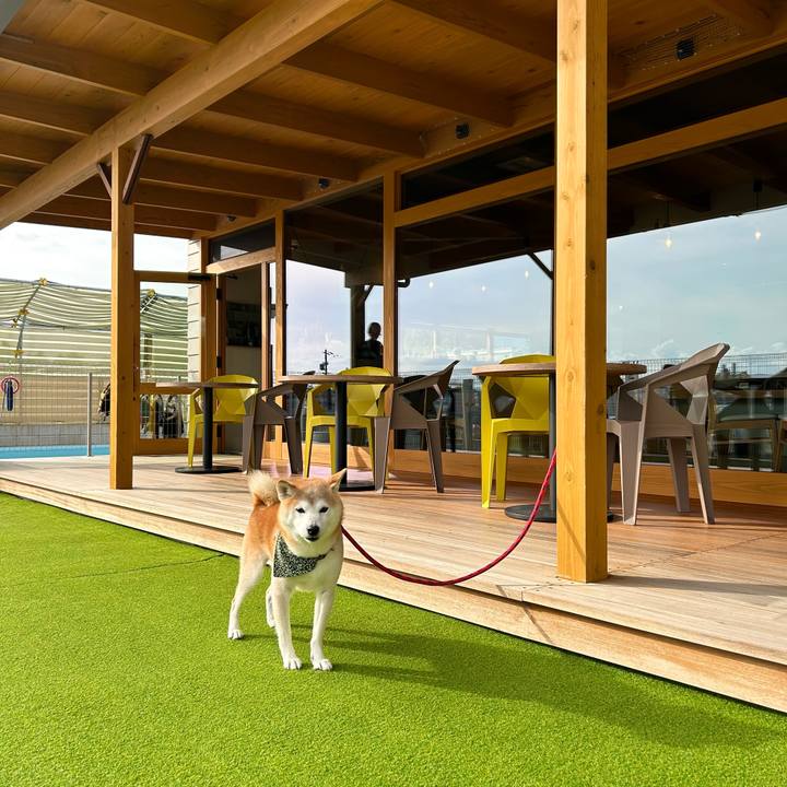 E237dec4 8f70 471c becc 92312c3f27d1 1729848415584