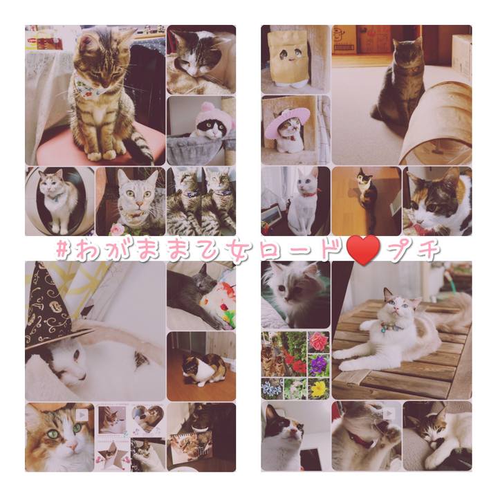 E2381bb1 184f 4d8a 888d 5b2849ba8577 1569589074258