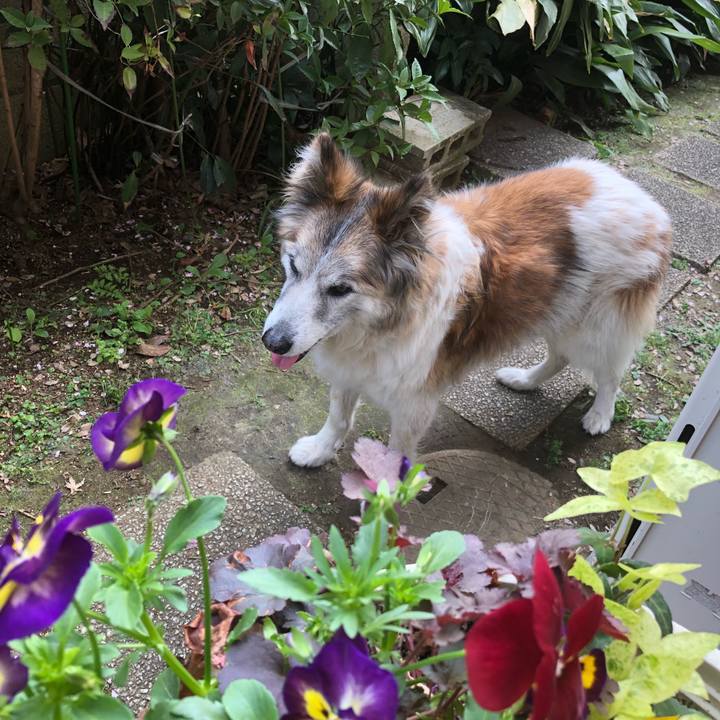 E2382702 5714 4483 a596 49c86d2cf2ab 1522717393362