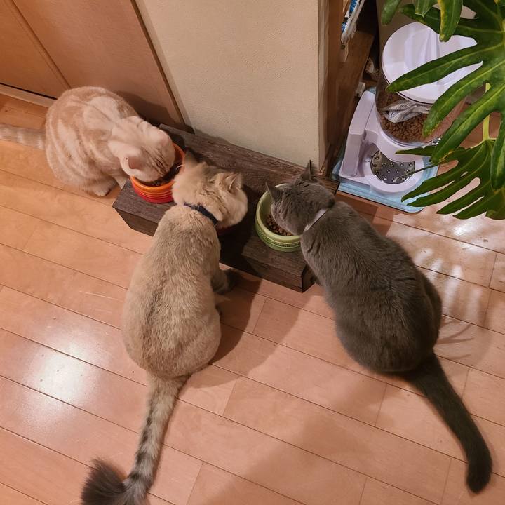 E23866ad d094 4681 9bee f4d1c30d2584 1600423332660