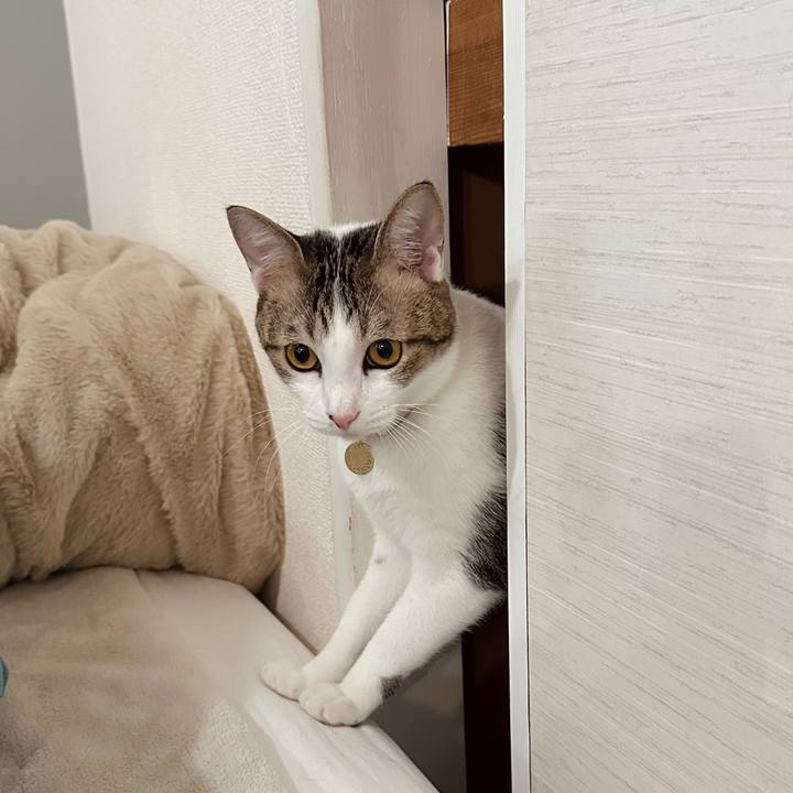 E23888ab f382 47e1 acdb 3a6589104d0e 1763427531304