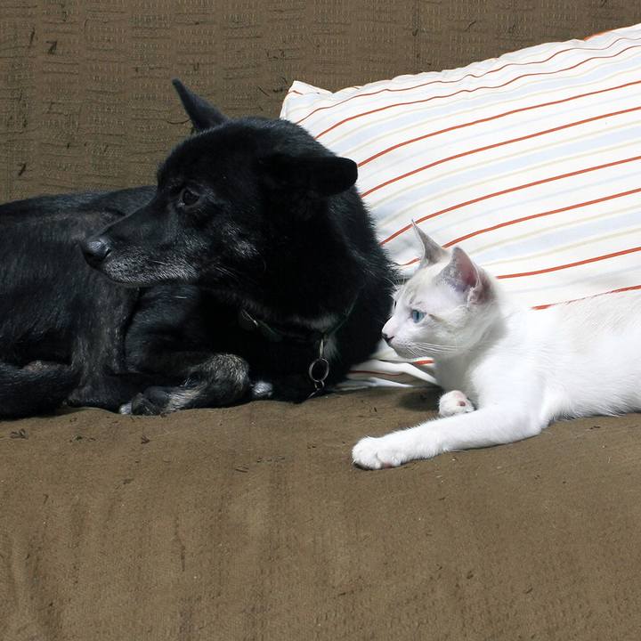 E238a92c 7eb0 4f74 b2ff 0b6b07d9eeb4 1610408513260